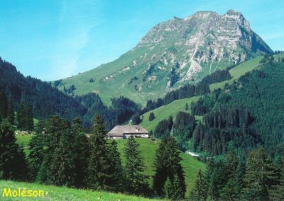 Des alpages du MOLESON à Bulle