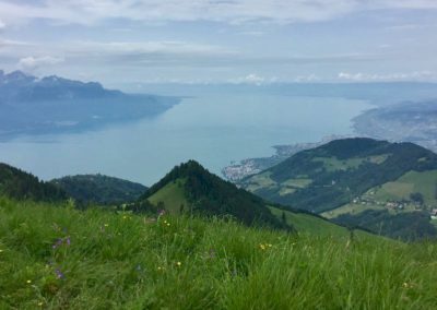 Balcon du Léman et Haute Gruyère